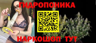 тгк Будённовск