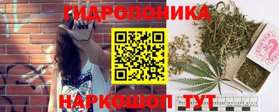 тгк Будённовск