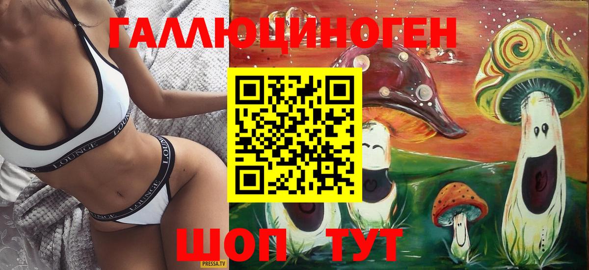 Галлюциногенные грибы Magic Shrooms  Вход с VPN  Черкесск  Галлюциногенные грибы ЛСД 